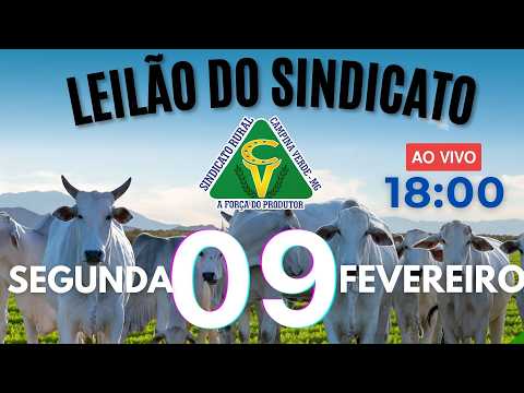 Leilão Sindicato Rural Campina Verde - 09 de Fevereiro 2026