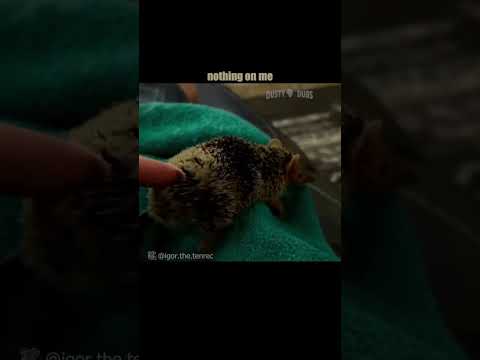 Sonic ain’t got nothing on me