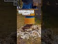 Getting rid of tough tree stumps! 🌳💪  -  🎥 dipperfox