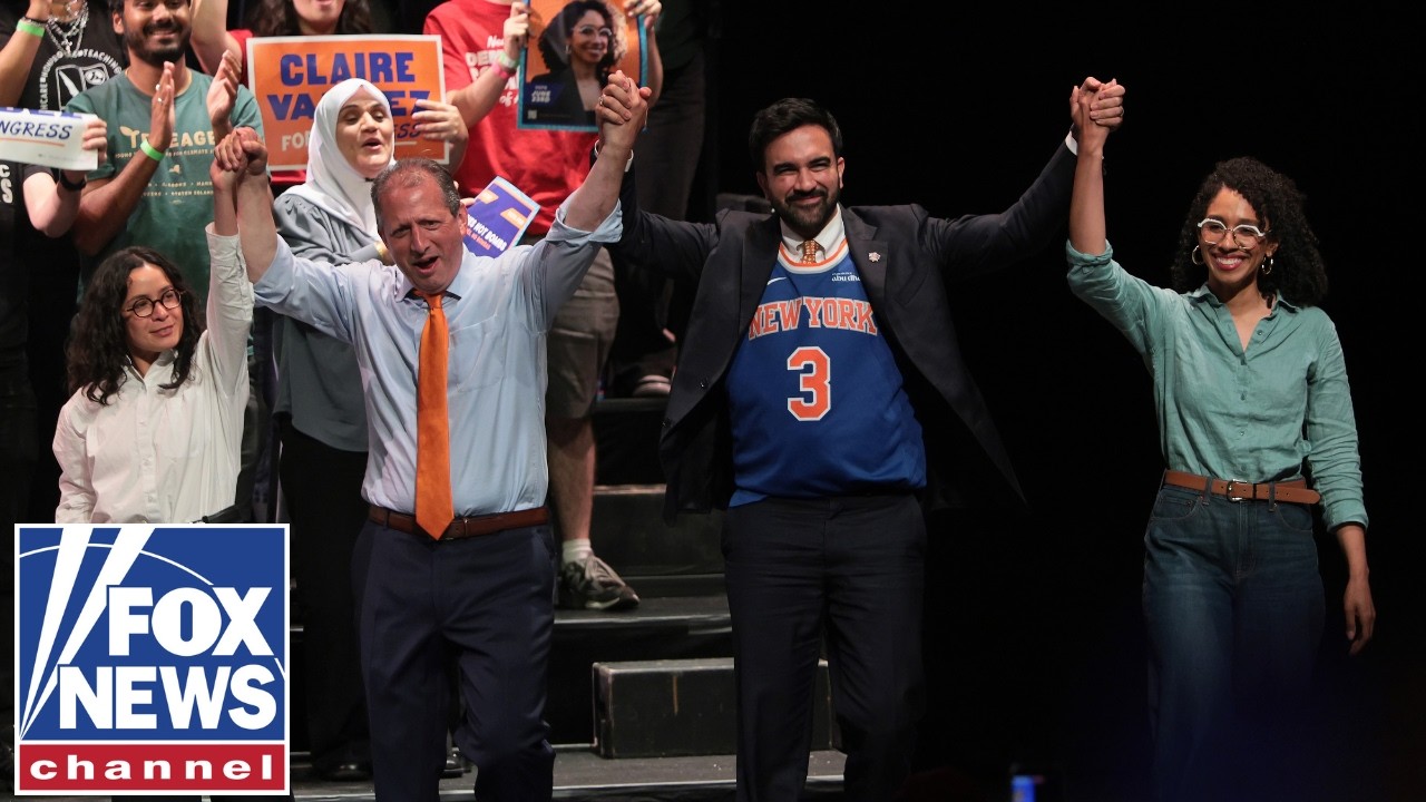 'EMBOLDENED': Democratic Party establishment on endangered species list after socialist victories
