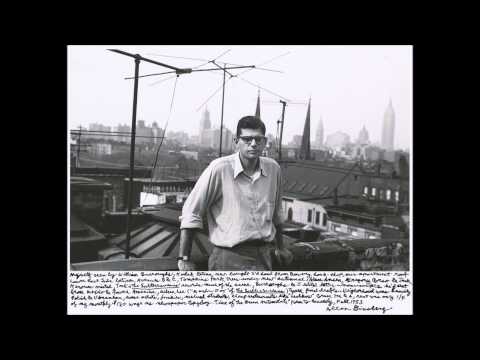 Fantastic Plastic Machine - Allen Ginsberg