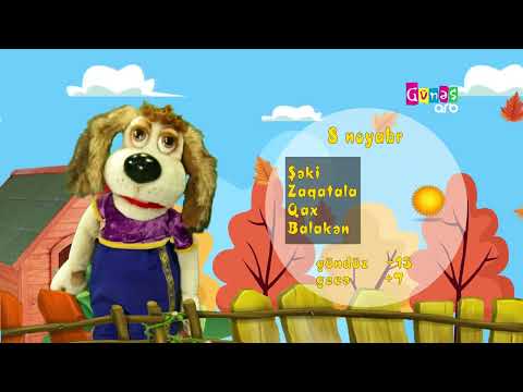 "Hava necə olacaq?" - 8 noyabr 2024-cü il