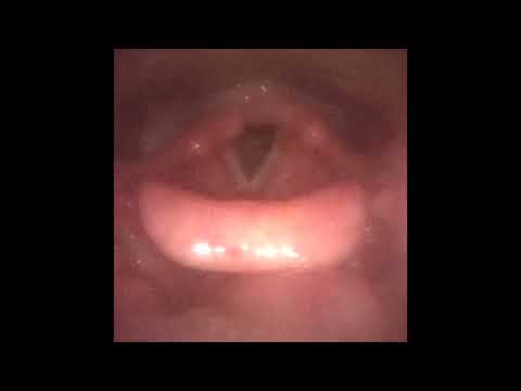 Egidio De Bonis-9