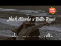 Jhak Marke x Billo Rani ।। Slowed and Reverb ।। full mashup song