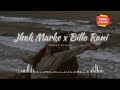 Jhak Marke X Billo Rani Slowed And Reverb Full Mashup Song
