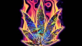 Eagles Of Death Metal - I Gotta Feeling