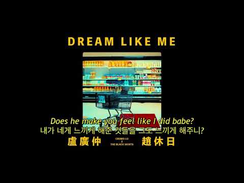 Crowd Lu (盧廣仲) & 검정치마 - DREAM LIKE ME (자막, 한글 가사, 해석, 번역, lyrics, KOR SUB)