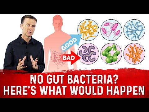 BILE What is BILE and Where is it Produced – Dr Berg