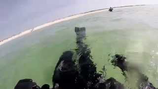 preview picture of video 'Portofino dive 7/17/14'