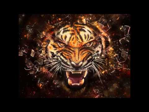 Dirty Dutch 2014 best of gestört aber geil by Koko