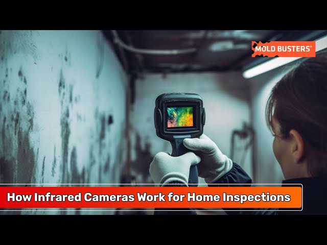 How does a camera inspection work? Ottawa Plumbing Services