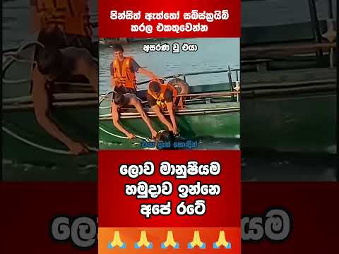 හැමොම ජීවිතේට ආදරෙයි