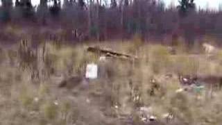 .44 Tomato Paste Somersault