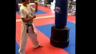 preview picture of video 'crescent city tkd punch kick combo    Crescent City TaekwonDo'