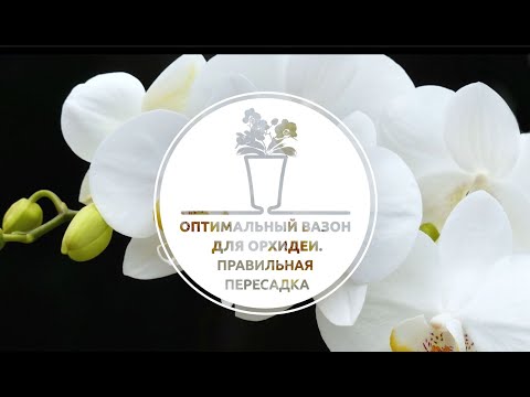 Миниатюра изображения товара Кашпо Santino Арте-Дея (2л, бледно-зеленый)
