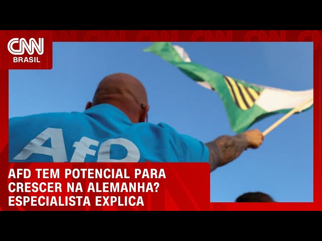 “É localizado, mas tem potencial para crescer”, diz especialista sobre a vitória da AfD na Alemanha