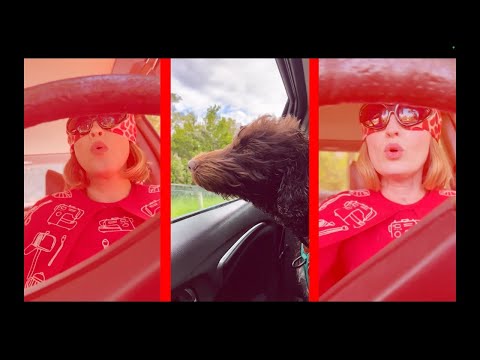 Video thumbnail for Joyride