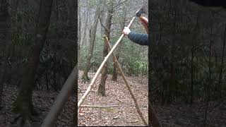 Download lagu Membangun Tempat Berlindung untuk Bertahan Hidup di Hutan! Perkemahan Bushcraft / Teknologi Primitif mp3