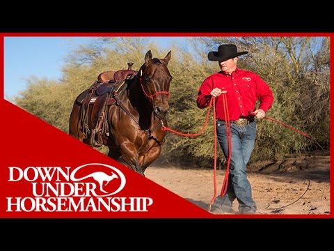 Clinton Anderson: Correct Halter Placement - Downunder Horsemanship