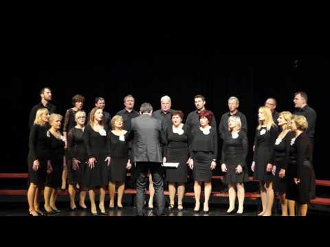 SOZVOČENJA 2016 – Mežica, MEŠANI KOMORNI PEVSKI ZBOR CELJE, WE ARE NOT ALONE