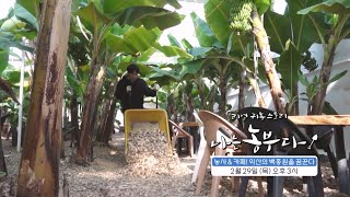 [나는농부다 290회 예고] 농사&카페! 익산의 백종원을 꿈꾼다
