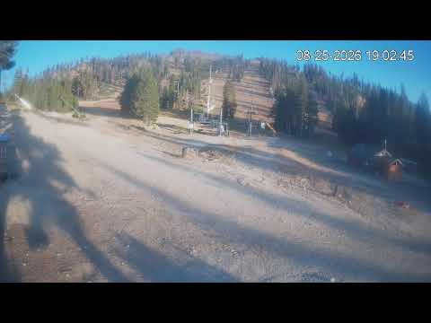 China Peak Cams