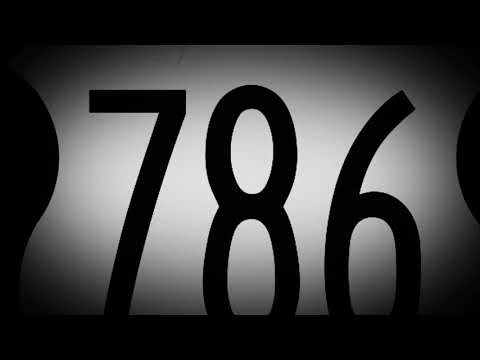 sie kommen und gehen - 786recordz