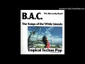 B A C The Baccardy Band Mr Jones Germany 1989
