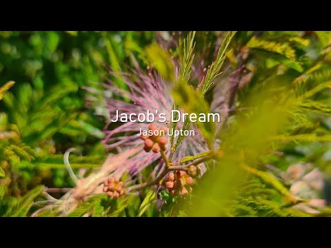 Jacob's Dream - Jason Upton