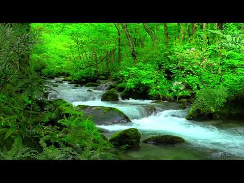 Inquietação Constante - Música Relaxante Para Acalmar as Angústias e Tranquilizar o Espírito