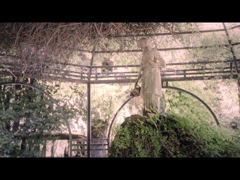 Ondi Vil & Neoplasma - Feeding Ducks (Official Music Video)