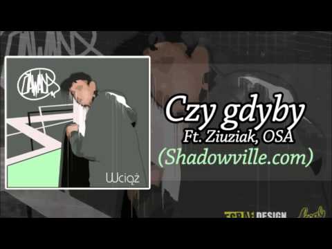 17 Zawada   Czy gdyby Ft  Ziuziak, Osa Shadowville com