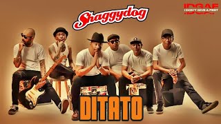 Download lagu SHAGGY DOG | Ditato ( Live IDGAF Yogyakarta Istimewa, Pop Hari Ini ) mp3 Download lagu SHAGGY DOG | Ditato ( Live IDGAF Yogyakarta Istimewa, Pop Hari Ini ) mp3