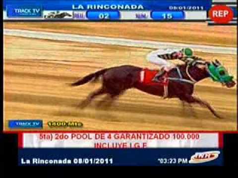 Resumen sábado 8 de enero 2011 - La Rinconada