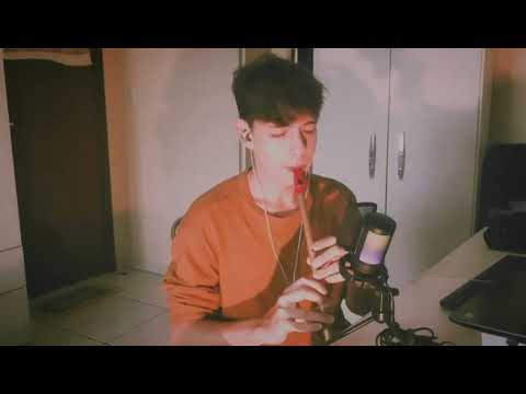 The Level Plain (Magh Seola) | Tin Whistle Bb — Joanie Madden