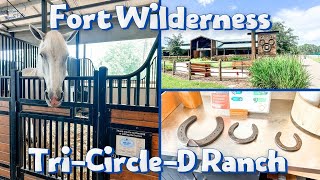 Visiting Tri-Circle-D Ranch at Fort Wilderness | Pony Rides, Trail Rides & Disney Horses