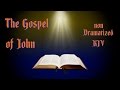 The Gospel of John KJV Audio Bible with Text