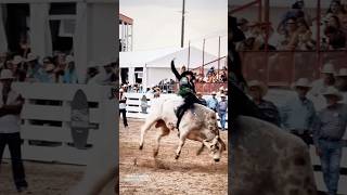 John Crimber 91.00 🔥 Cheyenne Frontier Days