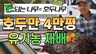 [호두 이야기] 김동회 Chapter2 호두를 깔때마다 호두가 망가지거나 부서지는 분들 꼭 보셔야 합니다! …