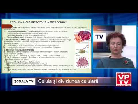 ȘCOALA TV – Biologie – Celula și diviziunea celulară
