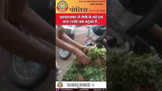 🔴उल्हासनगर से मेथी के पत्ते इस तरह रसोई तक पहुंचते हैं…