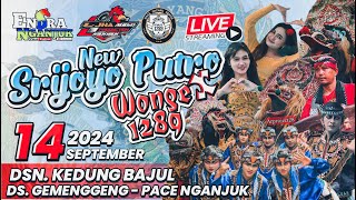 Download lagu Live JARANAN NEW SRIJOYO PUTRO ft ROGO SAMBOYO PUTRO Kedungbajul Gemenggeng Pace Nganjuk L-JHA AUDIO mp3