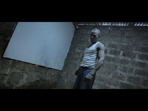 Robin's Nest and 3 more