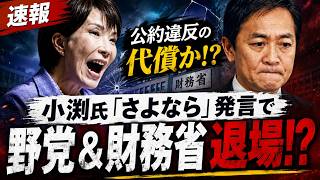 【政界激震】高市氏、消費税減税へ歴史的突破！小渕氏「税調インナー辞任」で財務省がついに動くのか【高市早苗／玉木雄一郎／自民党／国民民主党】