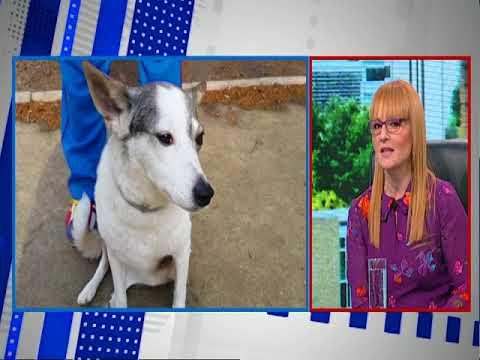 Dobro Jutro - Jovana & Srdjan - Aleksandra Kovac - 05.10.2017.