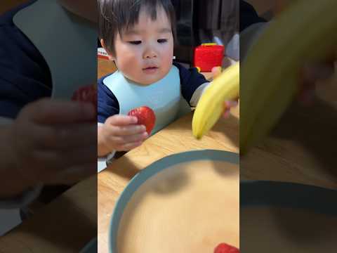 園芸 イチゴ、甘くて香り豊かな果物