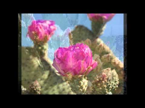 Video thumbnail for Powder Blue