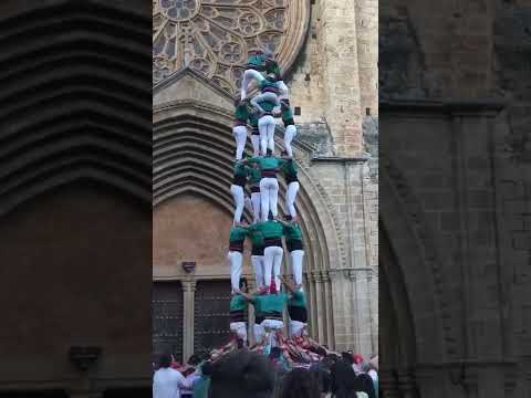 video-cover