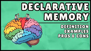What is Declarative Memory? (Easy Explanation)