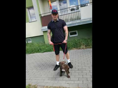 KakaSiK UKW - SPARTA2k20 prod. kaski